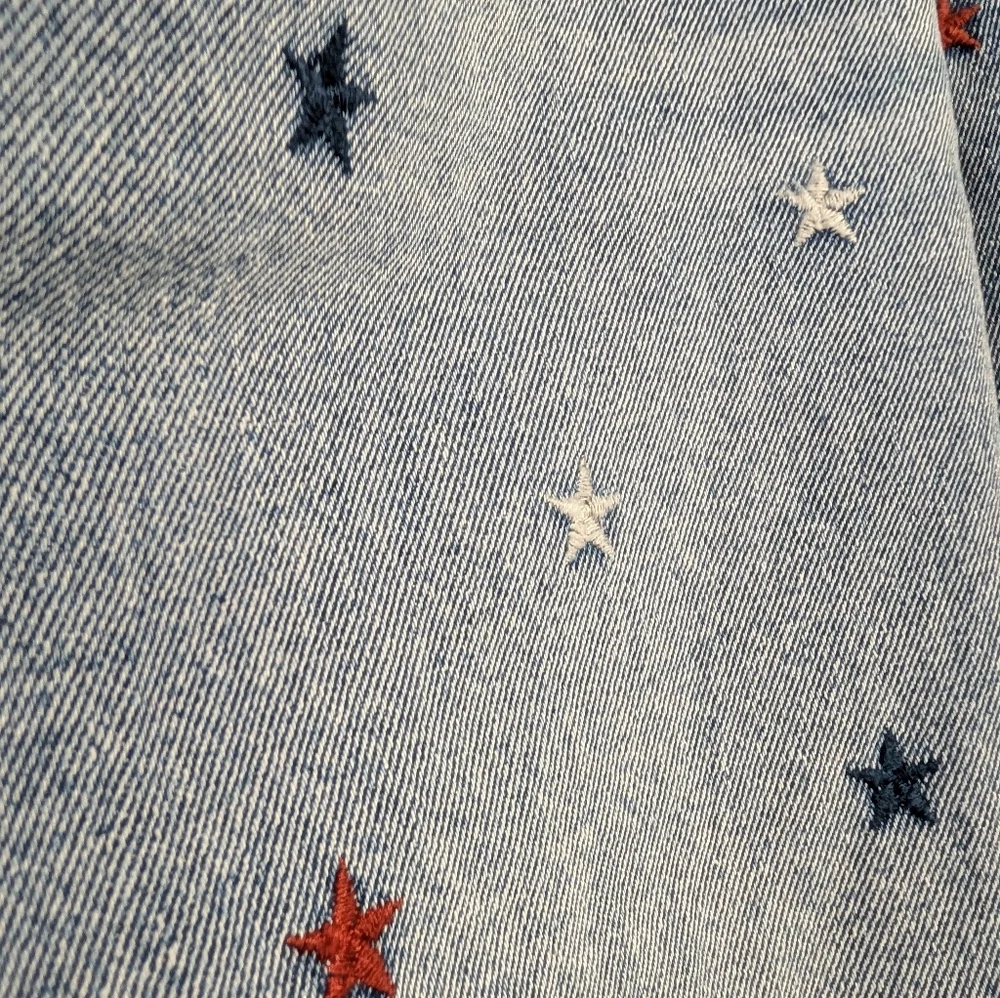 Driftwood Embroidered Stars Bermuda Shorts Size 31 New With Tags - Picture 3 of 9